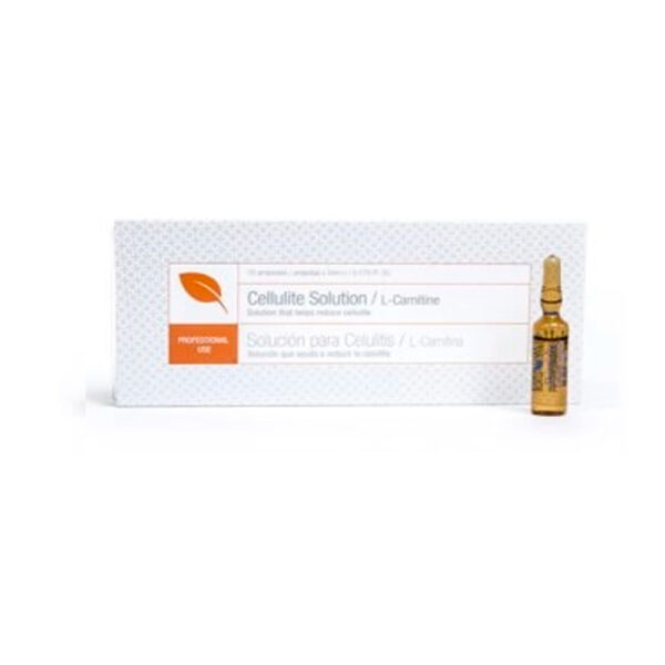 L- carnitina x 5 ml